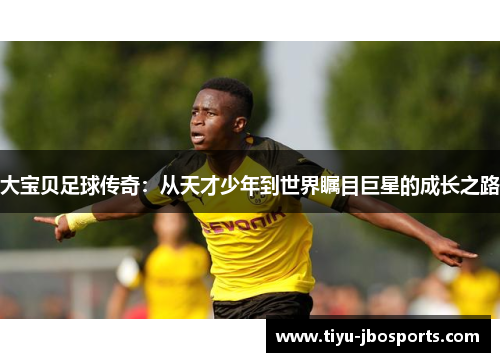 大宝贝足球传奇:从天才少年到世界瞩目巨星的成长之路 大宝贝足球传奇:从天才少年到世界瞩目巨星的成长之路