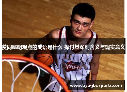 赞同姚明观点的成语是什么 探讨其深刻含义与现实意义 赞同姚明观点的成语是什么 探讨其深刻含义与现实意义