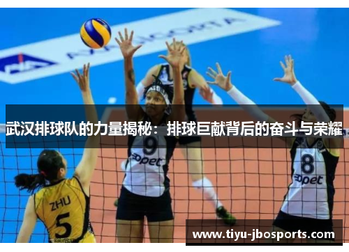 武汉排球队的力量揭秘：排球巨献背后的奋斗与荣耀